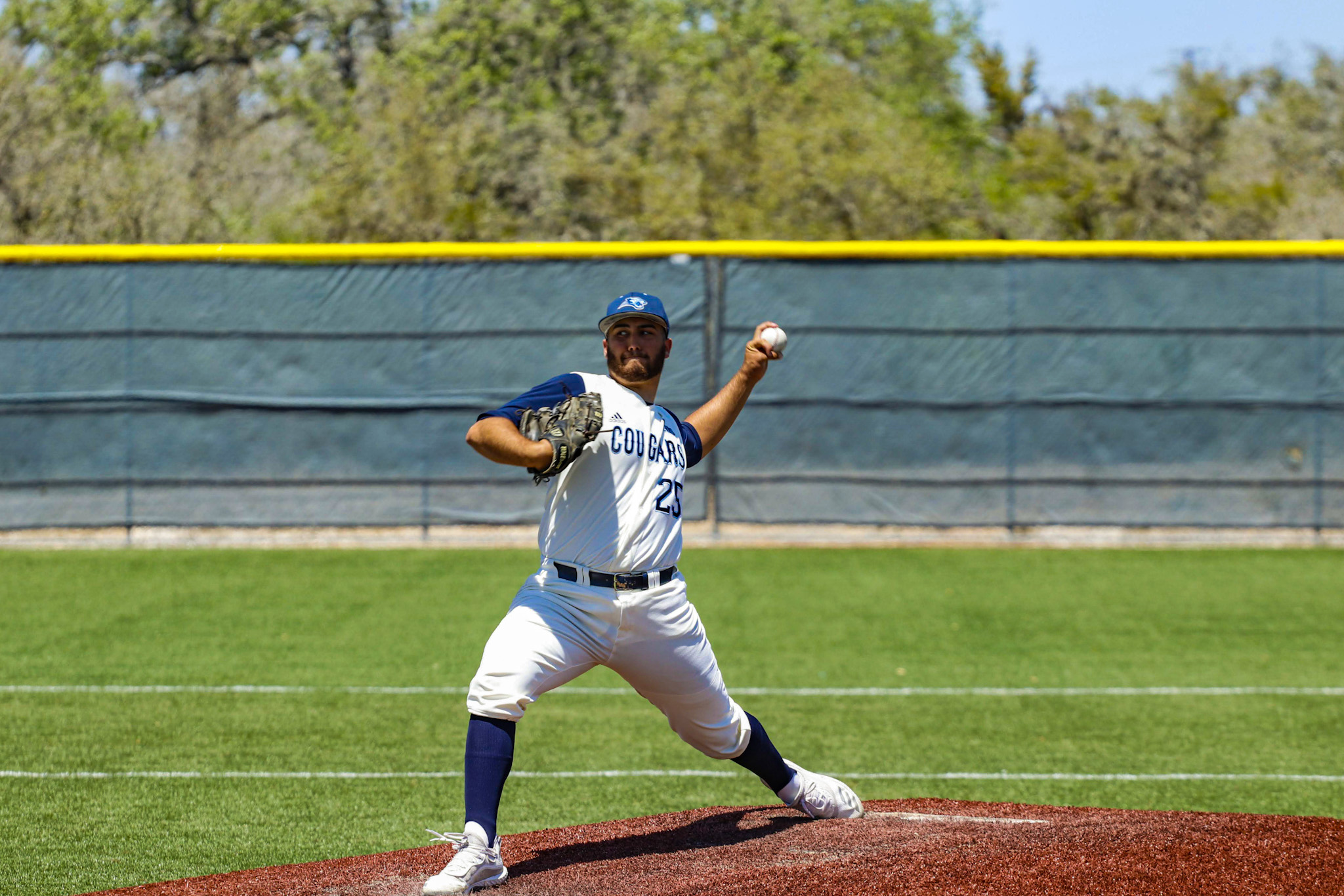 Cougars Take One Out of Three from Dolphins
