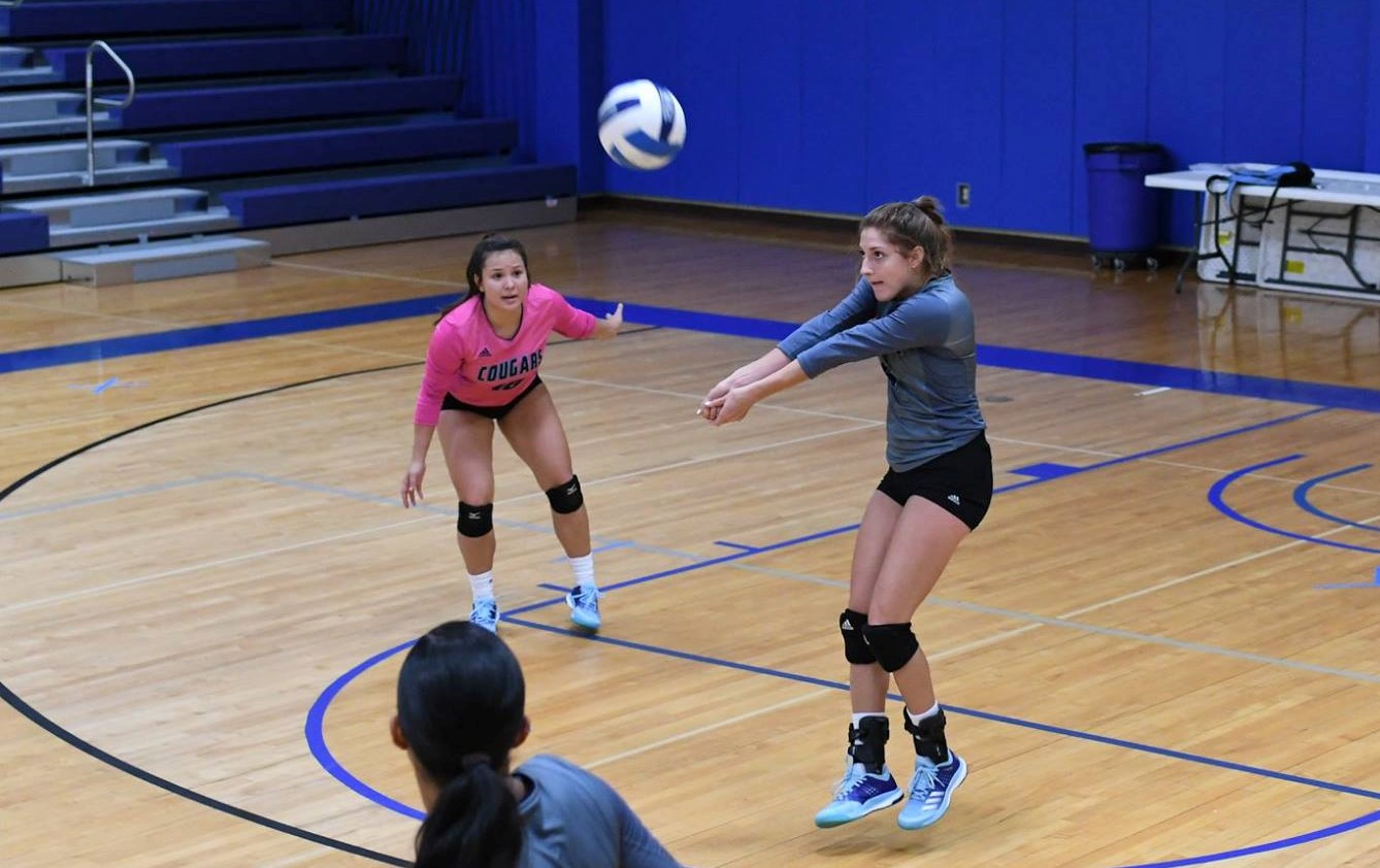 Volleyball Cruises Past Palo Alto College